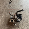 TURBINA MOTOR VOLKSWAGEN POLO VIRTUS TSI 2019 TURBINA MOTOR VOLKSWAGEN POLO VIRTUS TSI 2019